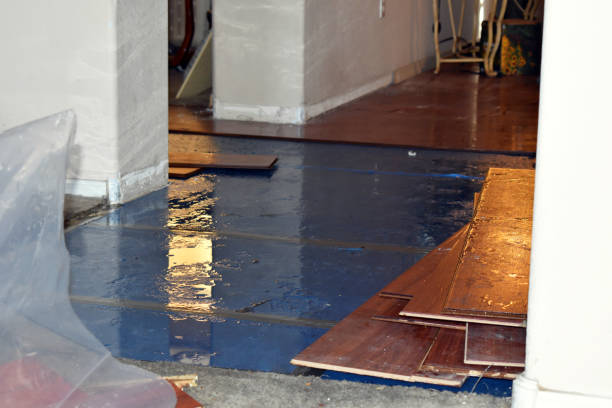 Professional Burst Pipe Cleanup technician working in Grafton, MA